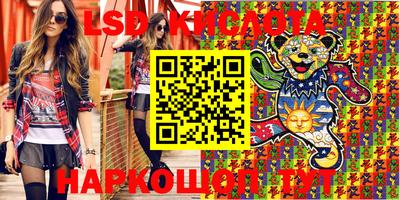 прущие грибы Комсомольск-на-Амуре