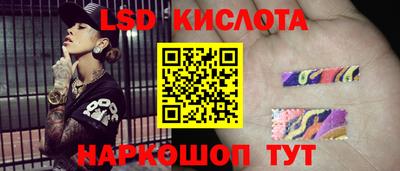 прущие грибы Комсомольск-на-Амуре