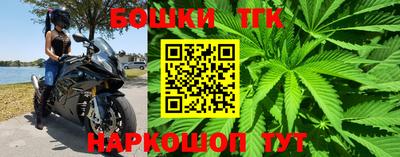 прущие грибы Комсомольск-на-Амуре