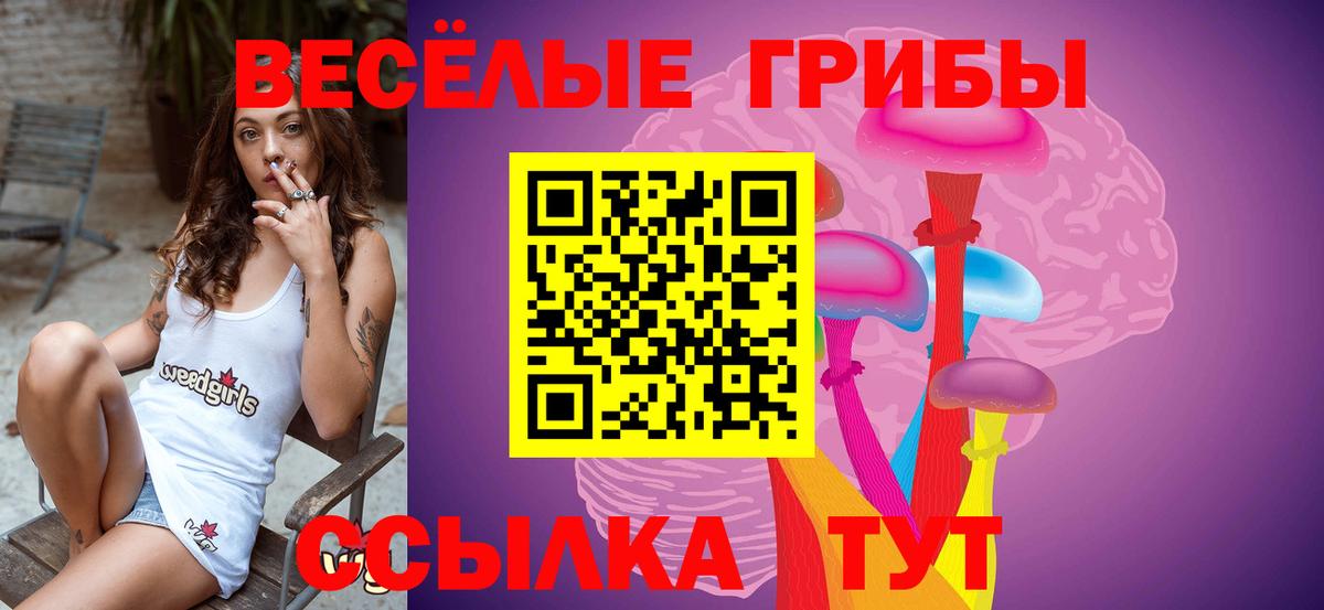 купить наркоту  Вход с VPN  Псилоцибиновые грибы мицелий  Кизилюрт  Псилоцибиновые грибы MAGIC MUSHROOMS 